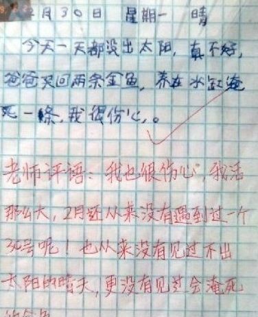 会淹死的金鱼