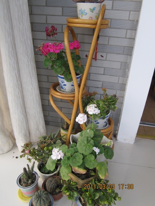花
