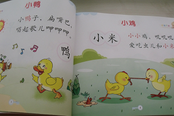 照片 101