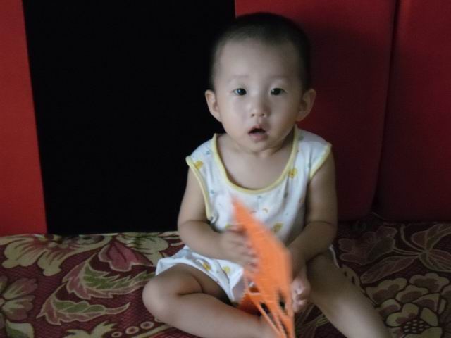 调整大小 SAM_0052