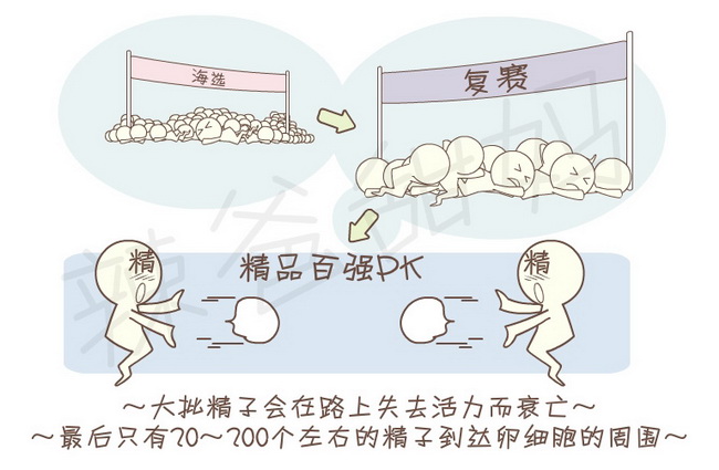 祝你好孕_030145_第一节受精卵_起点