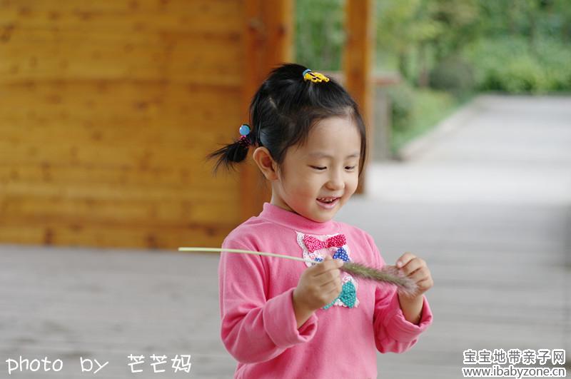 IMGP0256_副本