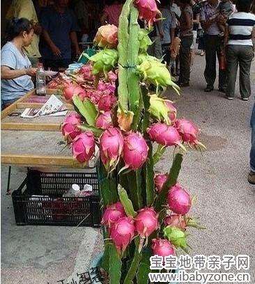 火龙果。。