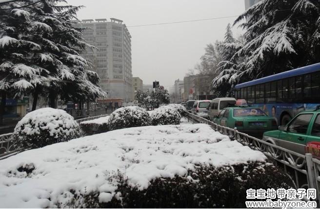 雪景