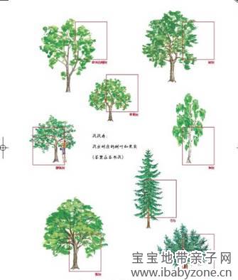 一粒种子的旅行17