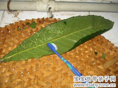 照片 491