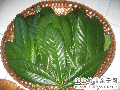 照片 495