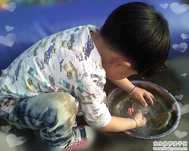 鱼1