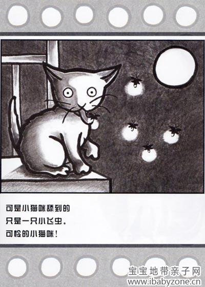 小猫咪追月亮3