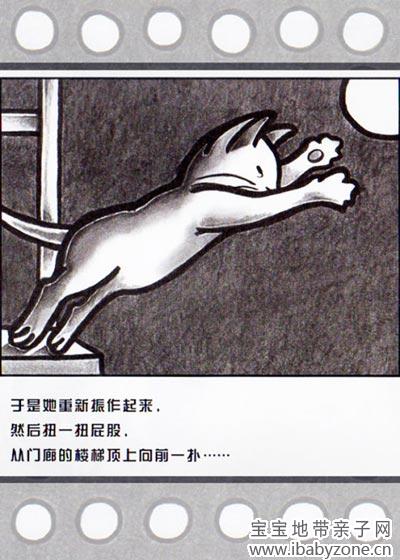 小猫咪追月亮4