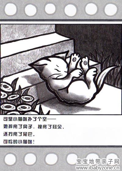 小猫咪追月亮5