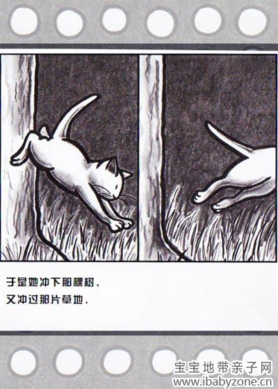 小猫咪追月亮10