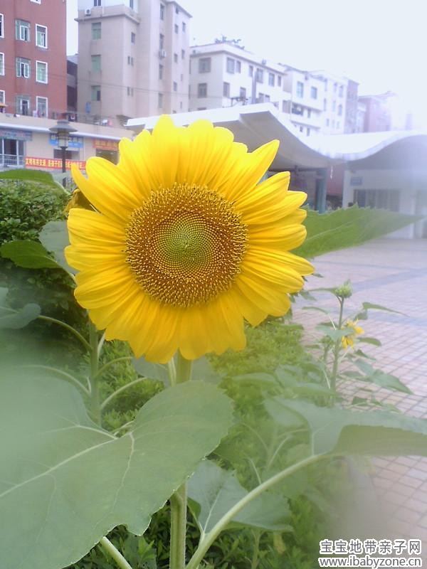 IMG0028A_副本