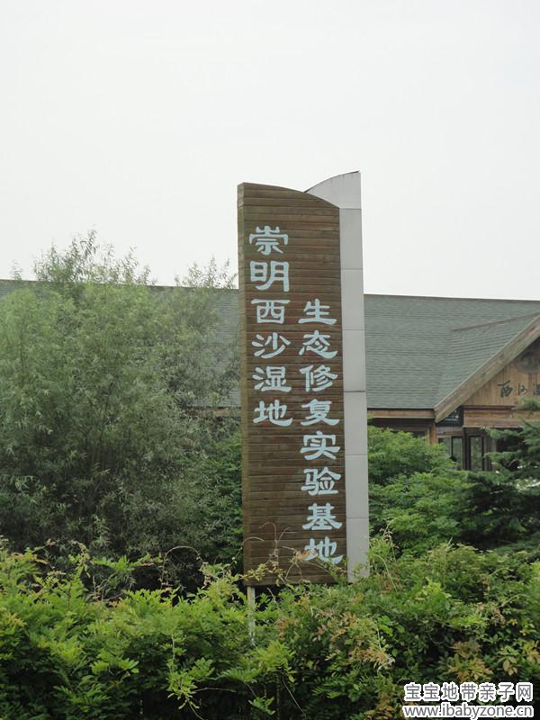 DSC07130_副本