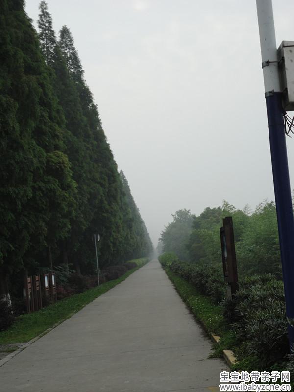 DSC07132_副本