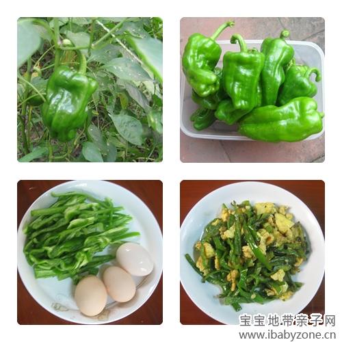 豆腐菜集合3