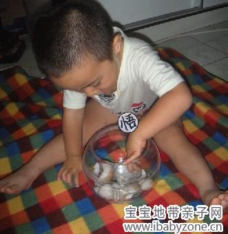 贝壳1