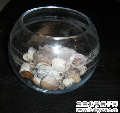 贝壳6