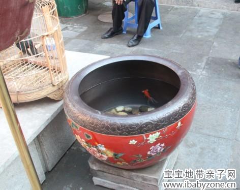 天津格格府8-2