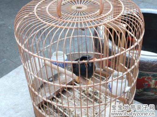 天津格格府8-3