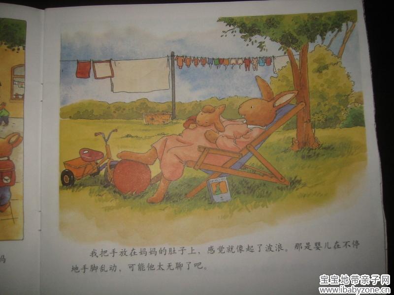 照片 038