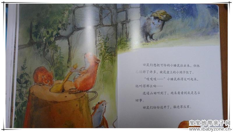 SAM_2707_副本