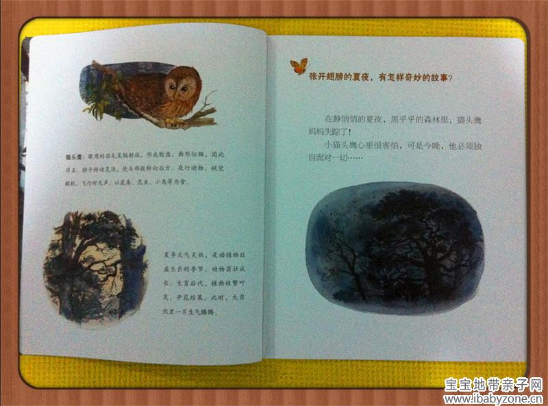 照片 083_副本