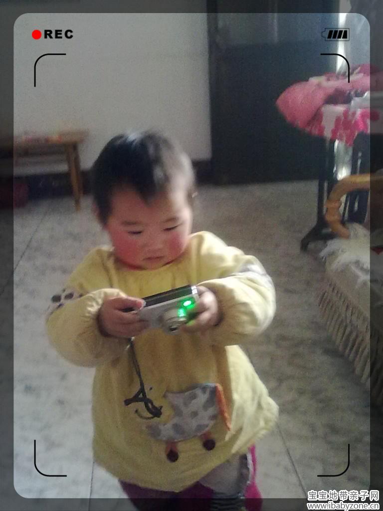 201301185883_副本