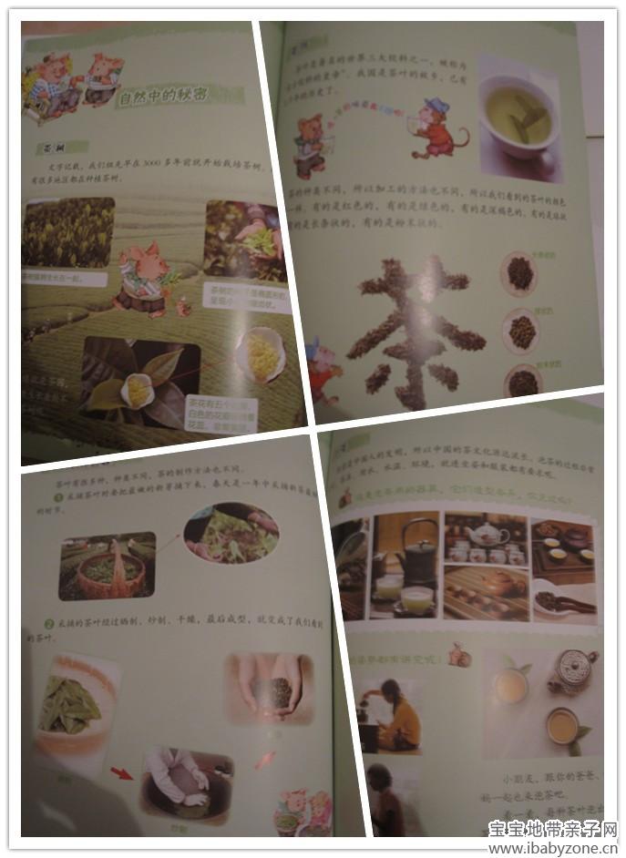 正文8