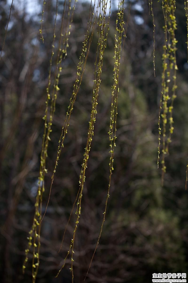 130402 植物园 487