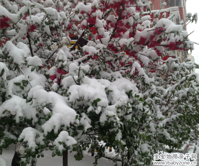 雪6