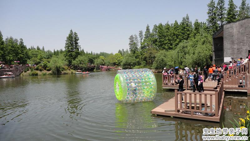 DSC02457_副本