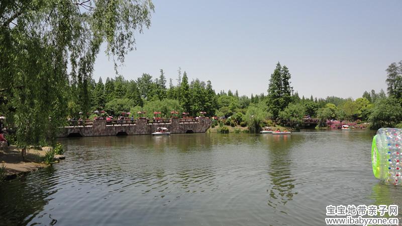 DSC02458_副本