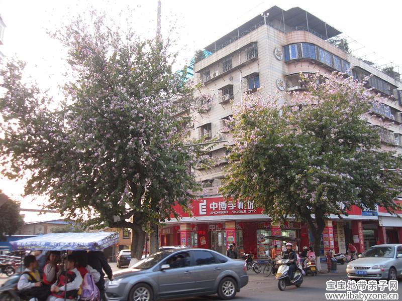 路边0