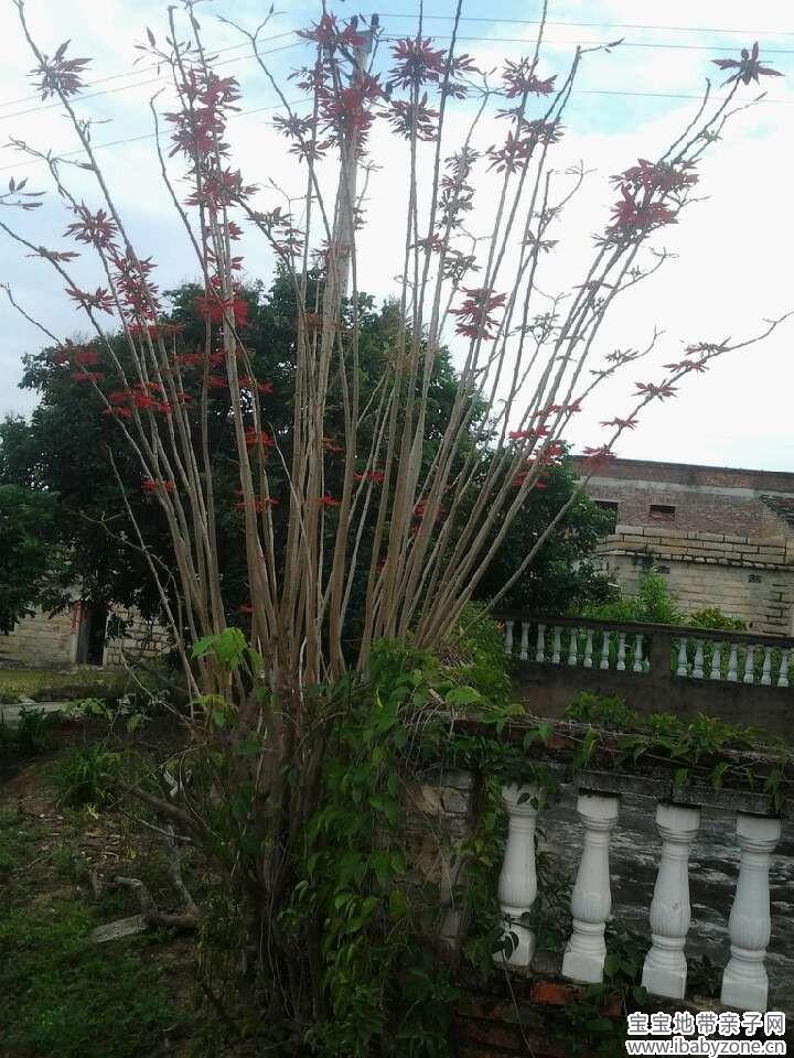 01花