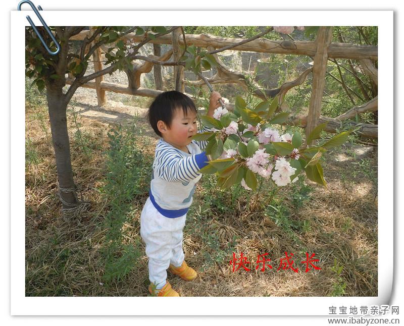 DSCN6768_副本