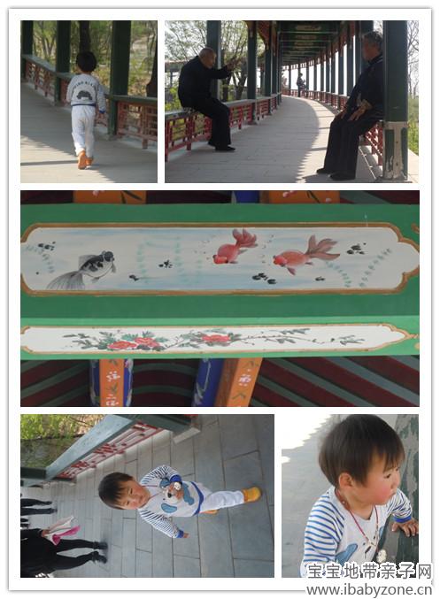 DSCN6651_副本