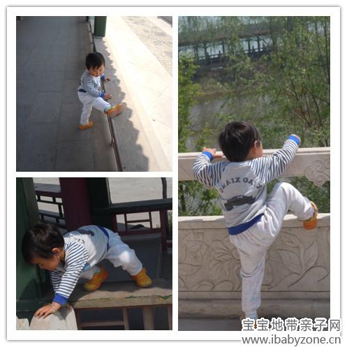 DSCN6738_副本