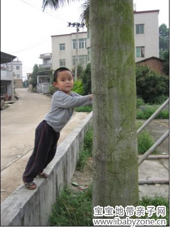 泉