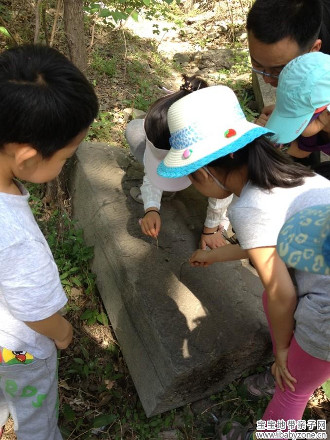 130516香山植物园小拉练