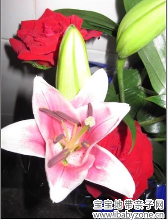 花10
