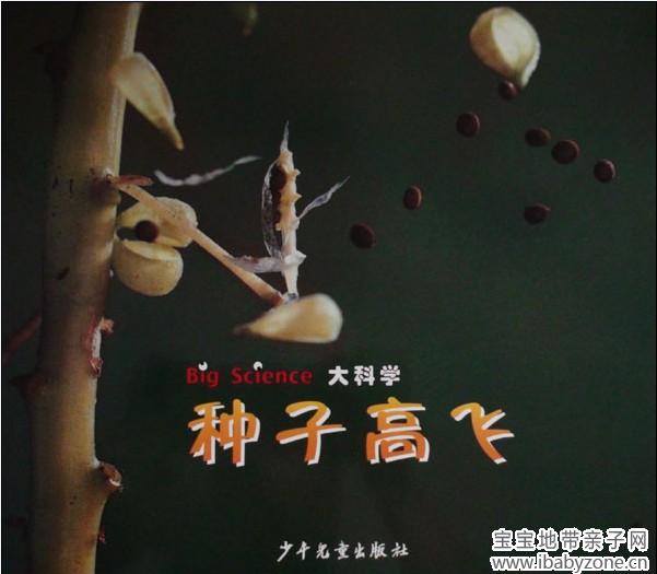 种子高飞