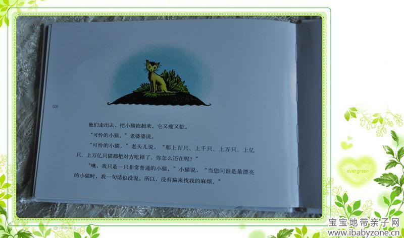 猫14