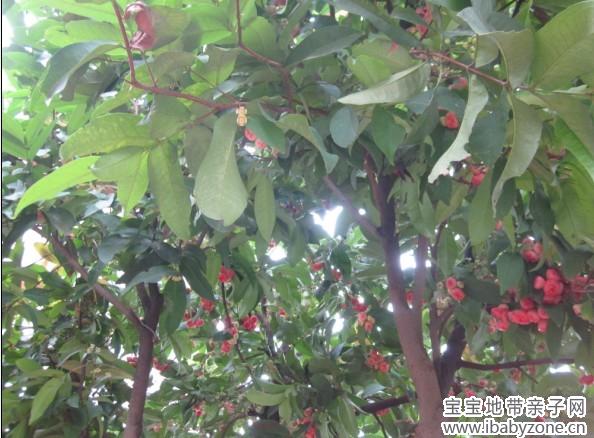 QQ图片20130625150813