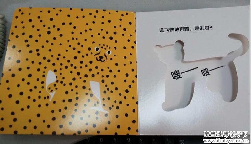 豹子1