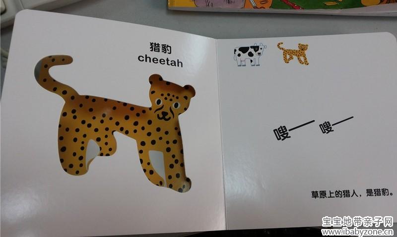 豹子2