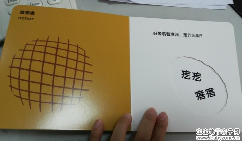 菠萝1