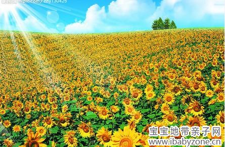 花1