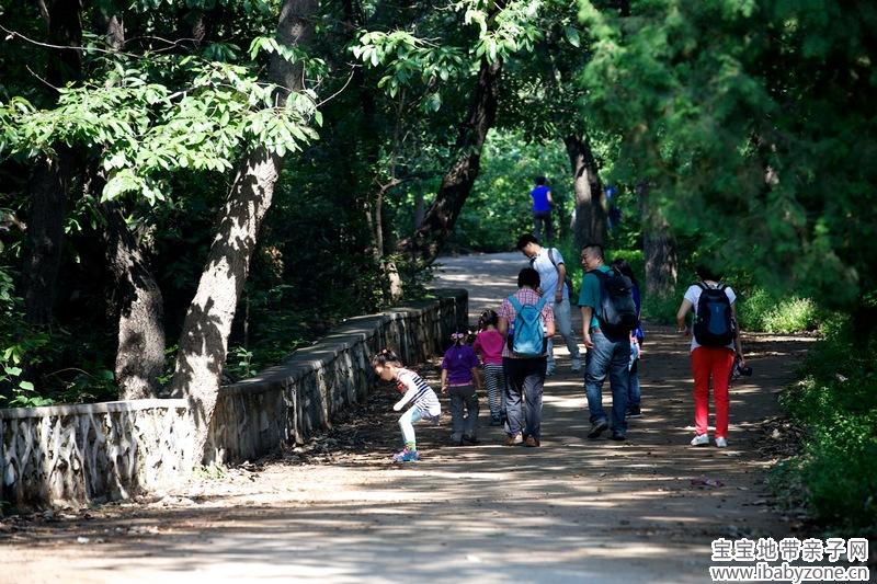 130907 大觉寺 005