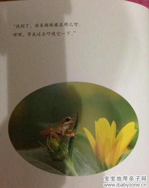 捉6
